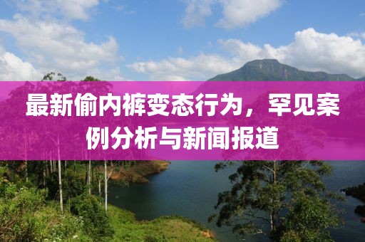 最新偷內(nèi)褲變態(tài)行為，罕見案例分析與新聞報(bào)道