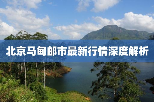 北京馬甸郵市最新行情深度解析