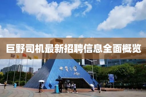 安念巧 第2頁