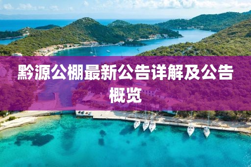 黔源公棚最新公告詳解及公告概覽
