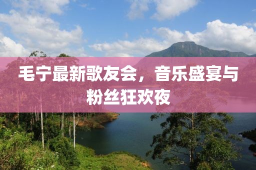 毛寧最新歌友會，音樂盛宴與粉絲狂歡夜