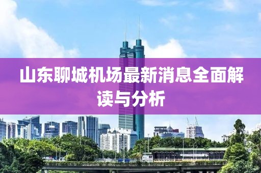 山東聊城機場最新消息全面解讀與分析