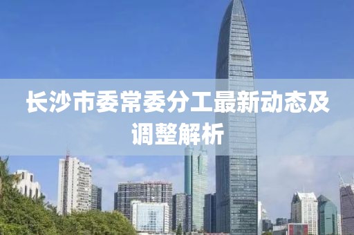 長沙市委常委分工最新動(dòng)態(tài)及調(diào)整解析