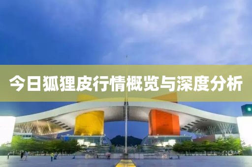 今日狐貍皮行情概覽與深度分析