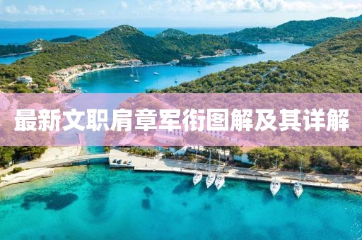 最新文職肩章軍銜圖解及其詳解