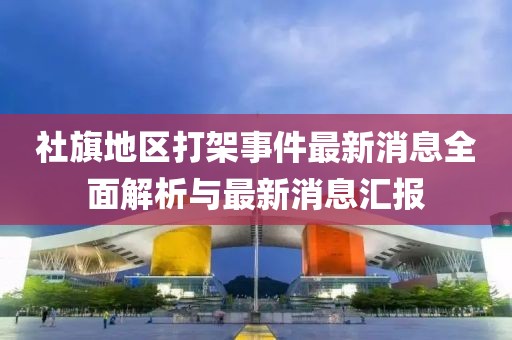 社旗地區(qū)打架事件最新消息全面解析與最新消息匯報
