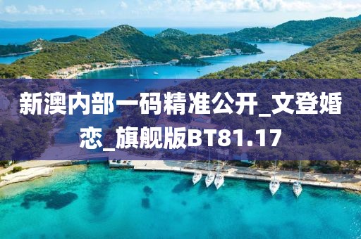 新澳內(nèi)部一碼精準(zhǔn)公開_文登婚戀_旗艦版BT81.17
