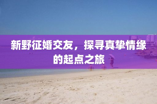 新野征婚交友，探尋真摯情緣的起點之旅