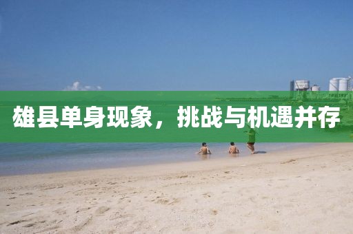 雄縣單身現(xiàn)象，挑戰(zhàn)與機(jī)遇并存