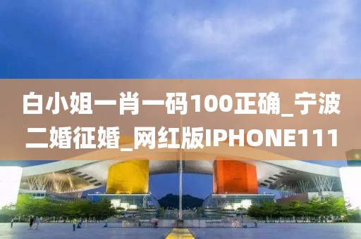白小姐一肖一碼100正確_寧波二婚征婚_網(wǎng)紅版IPHONE111