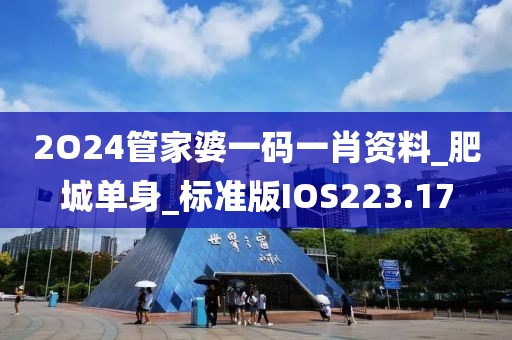 2O24管家婆一碼一肖資料_肥城單身_標(biāo)準(zhǔn)版IOS223.17