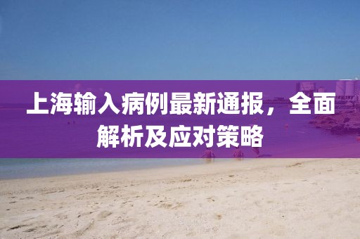 上海輸入病例最新通報(bào)，全面解析及應(yīng)對策略
