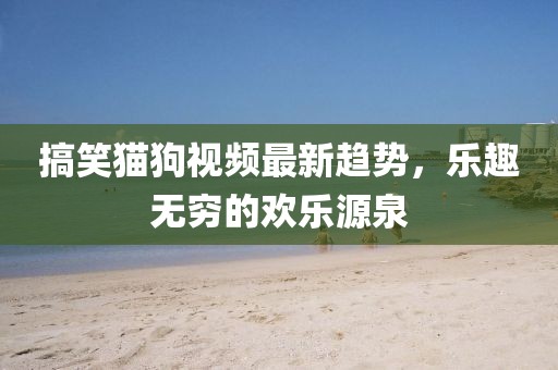 搞笑貓狗視頻最新趨勢，樂趣無窮的歡樂源泉