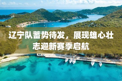 遼寧隊(duì)蓄勢(shì)待發(fā)，展現(xiàn)雄心壯志迎新賽季啟航