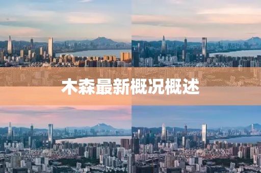 木森最新概況概述