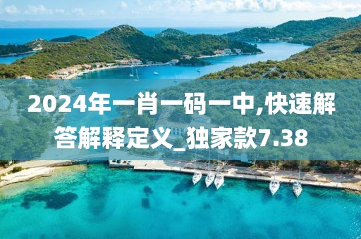 2024年一肖一碼一中,快速解答解釋定義_獨(dú)家款7.38