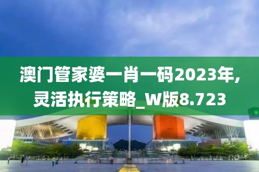 澳門管家婆一肖一碼2023年,靈活執(zhí)行策略_W版8.723