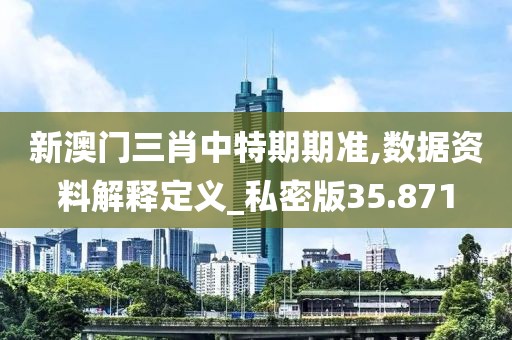 新澳門三肖中特期期準(zhǔn),數(shù)據(jù)資料解釋定義_私密版35.871