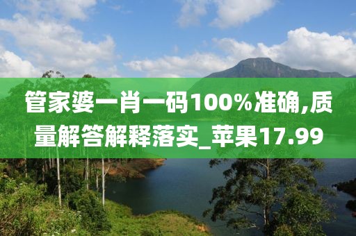 管家婆一肖一碼100%準確,質量解答解釋落實_蘋果17.99