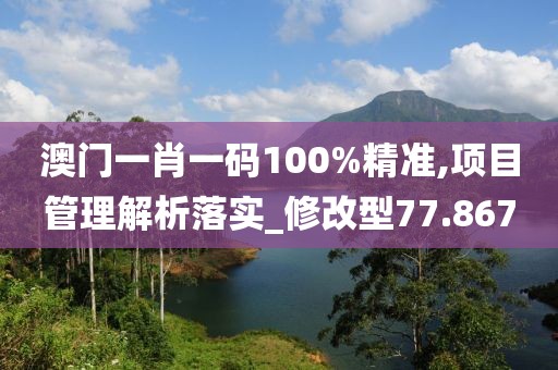 澳門(mén)一肖一碼100%精準(zhǔn),項(xiàng)目管理解析落實(shí)_修改型77.867