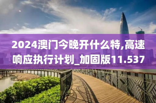 2024澳門(mén)今晚開(kāi)什么特,高速響應(yīng)執(zhí)行計(jì)劃_加固版11.537