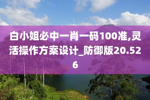 白小姐必中一肖一碼100準(zhǔn),靈活操作方案設(shè)計(jì)_防御版20.526