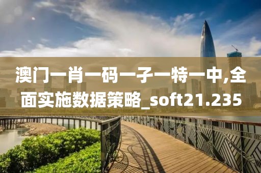 澳門一肖一碼一孑一特一中,全面實施數(shù)據(jù)策略_soft21.235