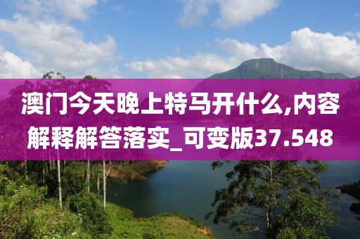 澳門今天晚上特馬開什么,內(nèi)容解釋解答落實_可變版37.548