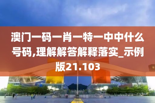 澳門一碼一肖一特一中中什么號(hào)碼,理解解答解釋落實(shí)_示例版21.103