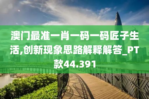 澳門(mén)最準(zhǔn)一肖一碼一碼匠子生活,創(chuàng)新現(xiàn)象思路解釋解答_PT款44.391