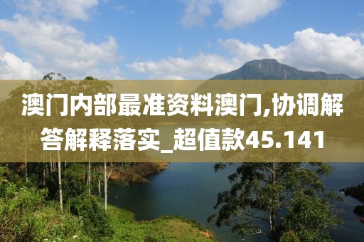 澳門(mén)內(nèi)部最準(zhǔn)資料澳門(mén),協(xié)調(diào)解答解釋落實(shí)_超值款45.141