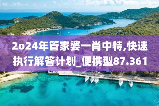 2o24年管家婆一肖中特,快速執(zhí)行解答計(jì)劃_便攜型87.361