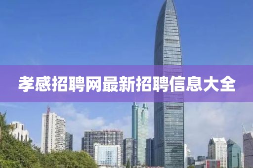 孝感招聘網(wǎng)最新招聘信息大全