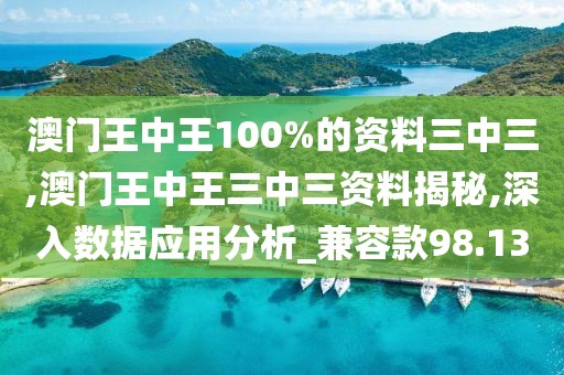 澳門王中王100%的資料三中三,澳門王中王三中三資料揭秘,深入數(shù)據(jù)應(yīng)用分析_兼容款98.13