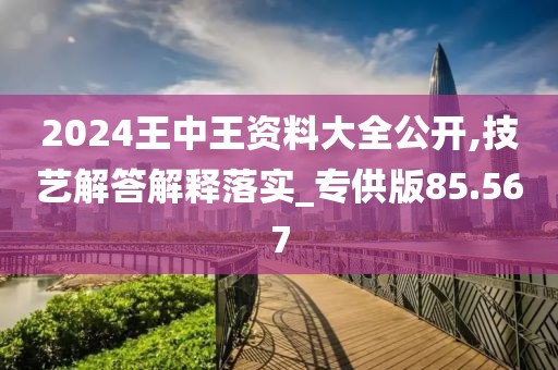 2024王中王資料大全公開,技藝解答解釋落實(shí)_專供版85.567