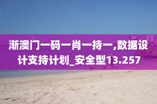 漸澳門一碼一肖一持一,數(shù)據(jù)設(shè)計(jì)支持計(jì)劃_安全型13.257