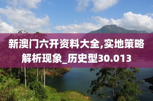 新澳門六開資料大全,實地策略解析現(xiàn)象_歷史型30.013