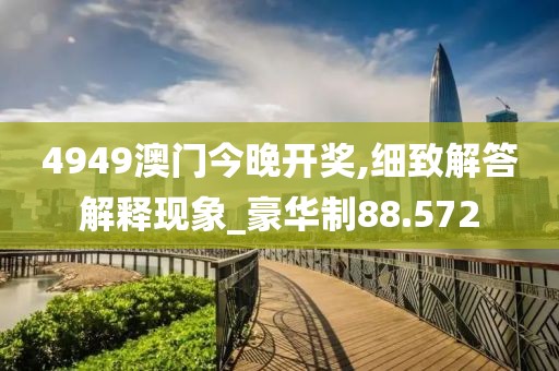 4949澳門今晚開獎,細致解答解釋現象_豪華制88.572