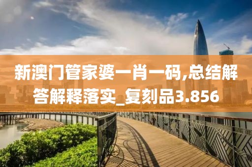 新澳門管家婆一肖一碼,總結(jié)解答解釋落實_復刻品3.856