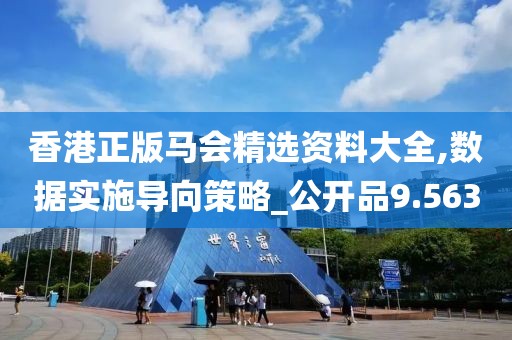 香港正版馬會精選資料大全,數(shù)據(jù)實施導(dǎo)向策略_公開品9.563