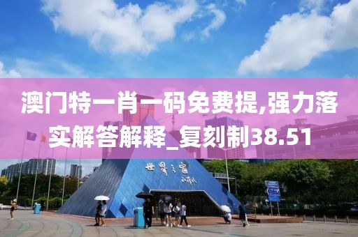 澳門特一肖一碼免費提,強力落實解答解釋_復刻制38.51