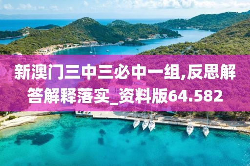 新澳門三中三必中一組,反思解答解釋落實_資料版64.582