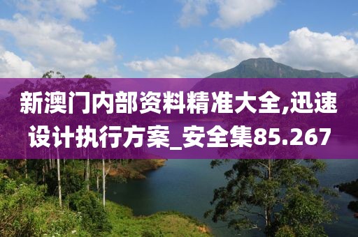 新澳門內(nèi)部資料精準(zhǔn)大全,迅速設(shè)計(jì)執(zhí)行方案_安全集85.267