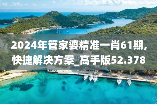 2024年管家婆精準(zhǔn)一肖61期,快捷解決方案_高手版52.378