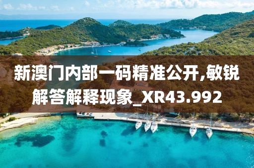 新澳門內(nèi)部一碼精準(zhǔn)公開,敏銳解答解釋現(xiàn)象_XR43.992