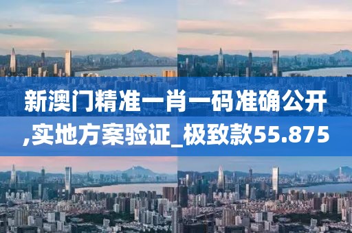 新澳門精準一肖一碼準確公開,實地方案驗證_極致款55.875