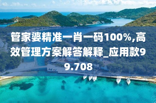 管家婆精準一肖一碼100%,高效管理方案解答解釋_應用款99.708