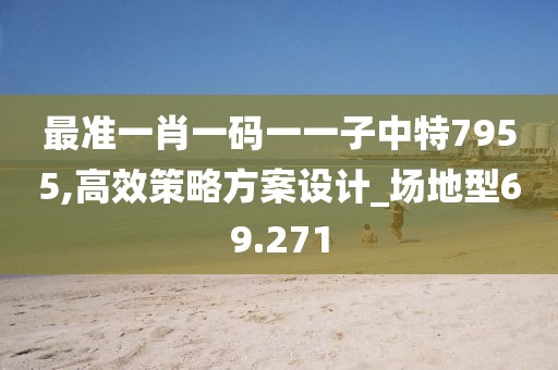最準(zhǔn)一肖一碼一一子中特7955,高效策略方案設(shè)計_場地型69.271
