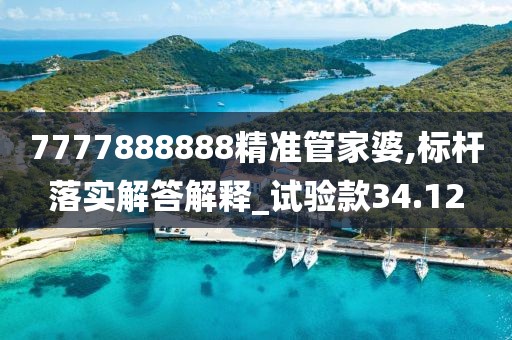 7777888888精準(zhǔn)管家婆,標(biāo)桿落實(shí)解答解釋_試驗(yàn)款34.12