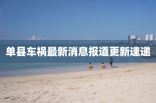 單縣車禍最新消息報道更新速遞